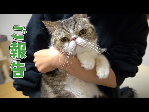 姉の猫ケロちゃんについてご報告があります