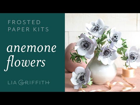 Frosted Paper Anemone Flower Kit