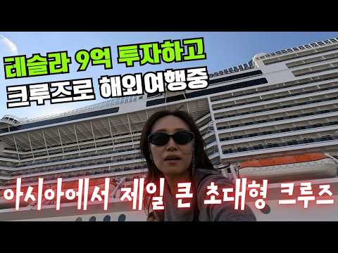 테슬라에 전재산 올인하고 크루즈로 해외여행중인 부부