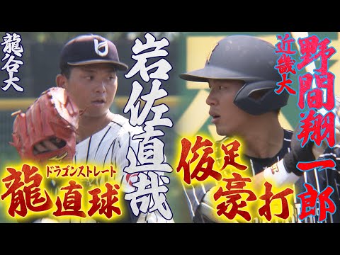 【2025ドラフト候補】岩佐直哉(龍谷大)&野間翔一郎(近畿大)