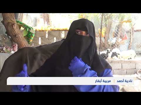 قناة بلقيس الفضائية