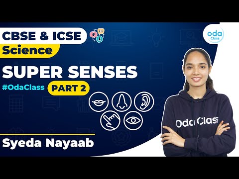 Super Senses Part - 2 | Biology | Class 4 | Class 5 | Nayaab Ma'am