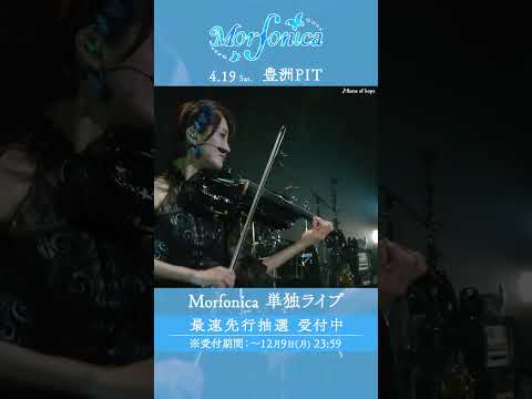 🦋Morfonica Concept LIVE「forte」より、#Morfonica「flame of hope」のライブ映像をお届け🦋 #バンドリ #shorts