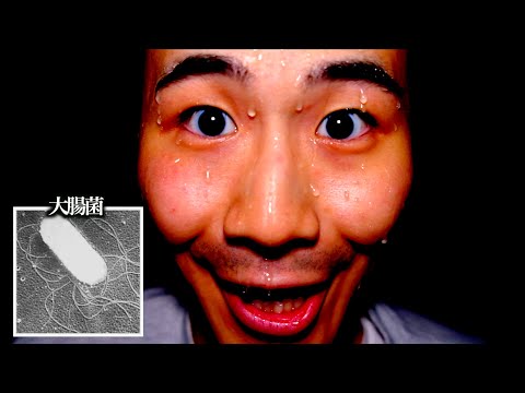 【種類別】生まれ変わった生き物の反応の違い。