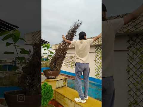 yahan# ka Mausam# bada hasi #Hai fir udaas Hai#😱