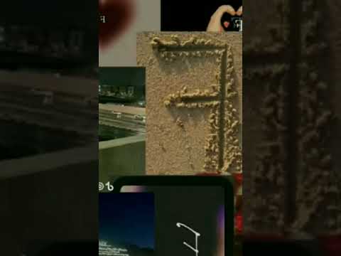 nih gua dah buat moga di liat ya  #join