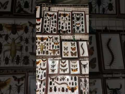 Классный магазин в Тайланде