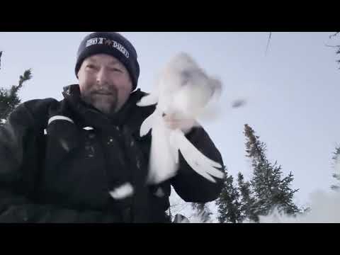 Random Moose Hunting & Trapping Clips