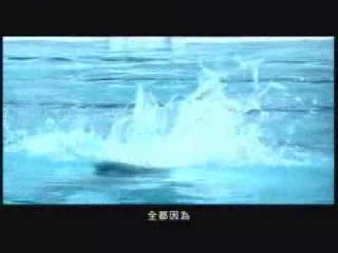 梁静茹-燕尾蝶