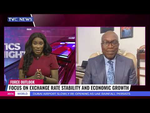 Forex Outlook: Finance Minister, CBN Governor Are Winning & Losing Some – Johnson Chukwu