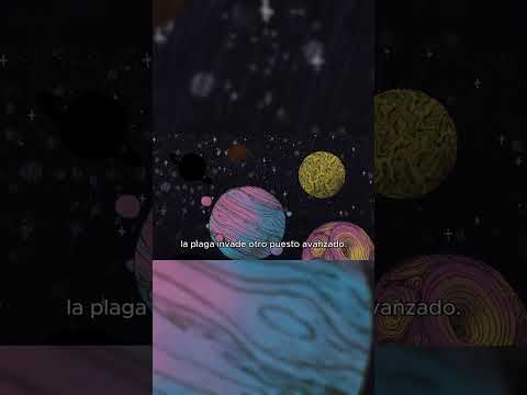 video screenshot