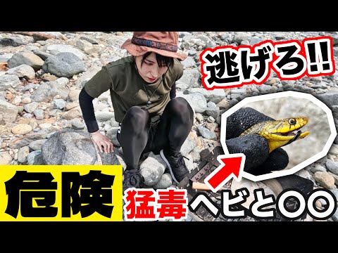 【サバイバル生活#最終回】猛毒ヘビ再び！危険生物に次々襲われ逃げる女…衝撃のラスト【7日目】
