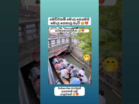 මොල නෙමෙයි මොල ගෙනාපු ඔරු 😂💔 Sinhala funny meme 😂 #shorts #funny #trending #viral #sinhala #jokes