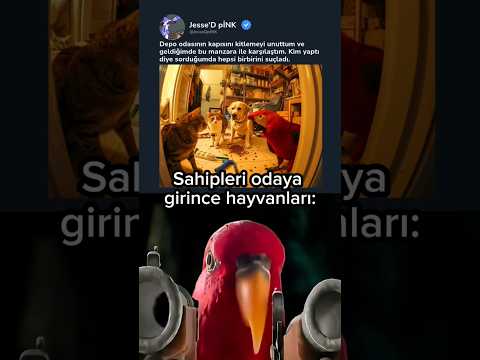 Hayvanlar 🦜⚔️🐈⚔️🐕