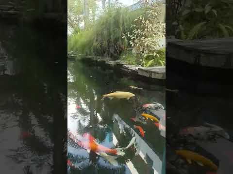 রিজিকের মালিক আল্লাহ | ওয়াজ | মিজানুর রহমান আজহারী |#mizanur_rahman_azhari #sayed_mokarram_bari_waz