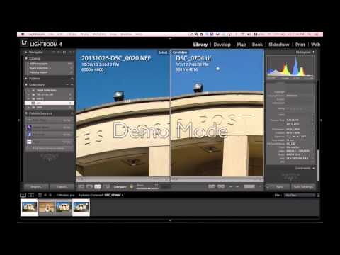 كاميرات احترافيه ومعني احترافي – d7100 و d5200 و d610