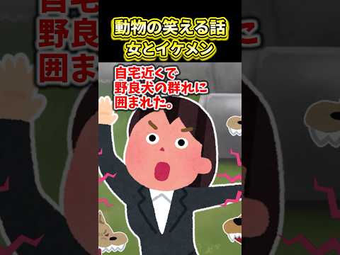 動物の笑える話~女とイケメン~【2ch動物スレ】