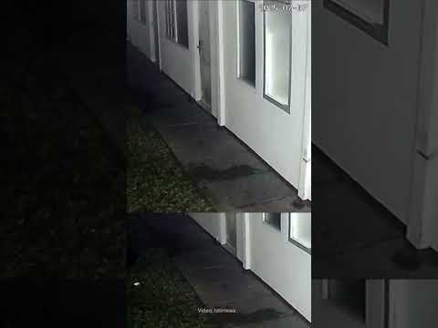 Rekaman CCTV yang merekam sebelum dan sesudah ADP ditemukan meninggal #beritaterkini #shortvideo