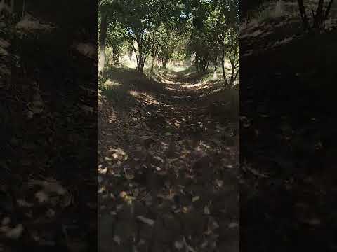 مشاهده متعه تابع القناة فضلن