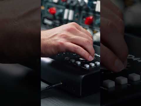 Get hands on control over your software using Scroll Control | iD44 MKII