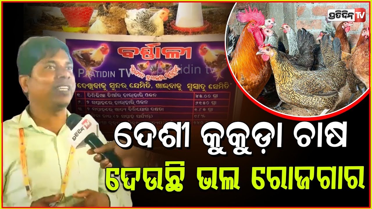 ୧୦୦ ଟି କୁକୁଡ଼ା ଚାଷ କଲେ ୫ ହଜାର ଟଙ୍କା ଆୟ କରିପାରିବେ l Fisheries & Animal Husbandry Fair in BBSR