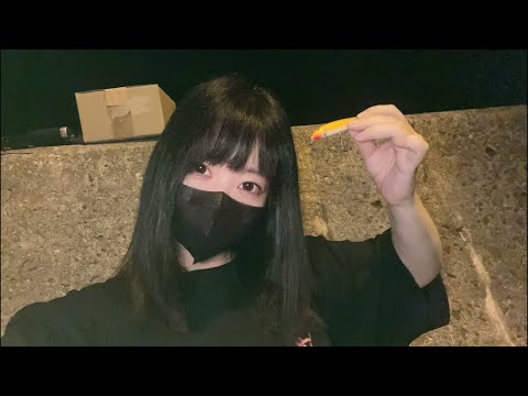 アジかイカかシーバスか謎の大物を釣る配信🎣