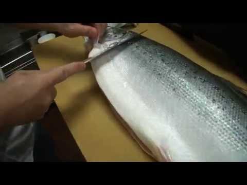 How To Fillet a Whole Salmon - How To Make Sushi Series - UCbULqc7U1mCHiVSCIkwEpxw