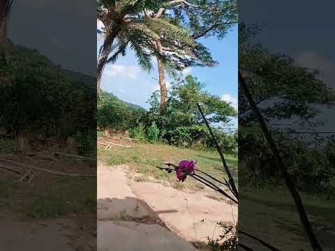 tó por cá boa tarde