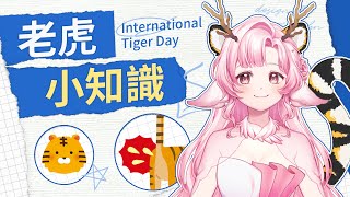 【0729 國際老虎日】老虎冷知識 傳聞老虎的尿聞起來像是奶油爆米花唷！ | 高維爾冷知識 #台灣Vtuber