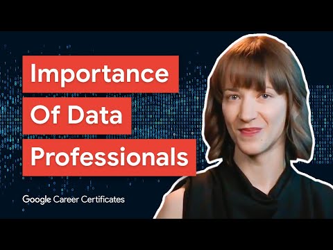 The Role of Data Professionals | Google Advanced Data Analytics Certificate