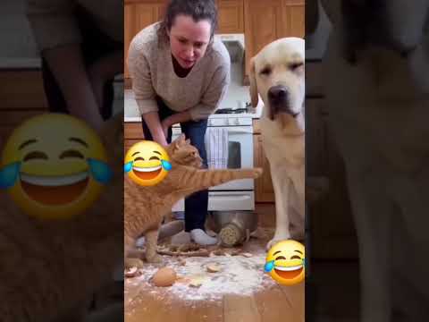 funny comedy YouTube short #fishingvideo 😀😀😀😂