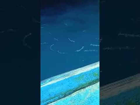 Cảnh nổi bật từ buổi phát trực tiếp