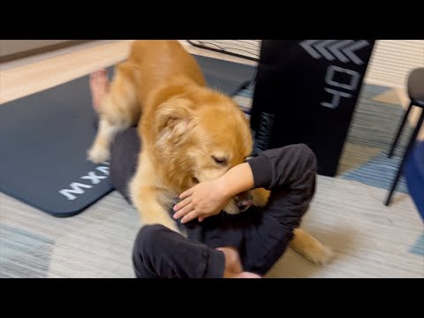 ママと愛犬で、どちらを枕にするかで壮絶な戦いが起こってしまった