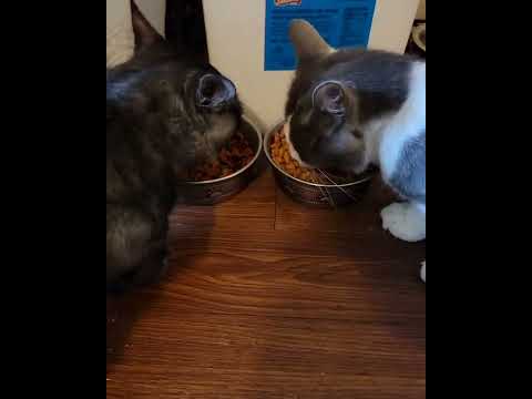 Lunch time ⏲️ 😋