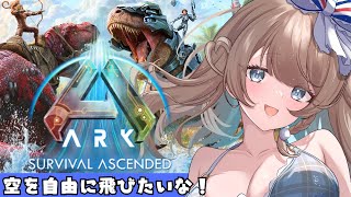 〖ASA〗初心者はラグナロクの空を飛びたい！もうks鳥に負けない！〖#vtuber〗