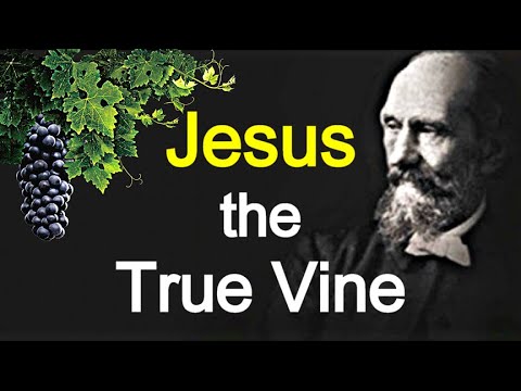 The True Vine / Meditations on John 15:1-16 - Andrew Murray