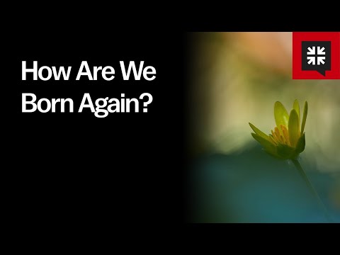 How Are We Born Again?