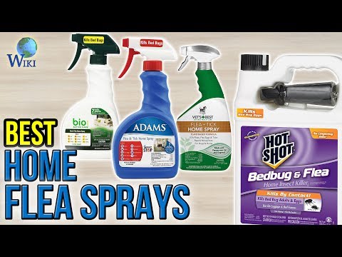 10 Best Home Flea Sprays 2017 - UCXAHpX2xDhmjqtA-ANgsGmw