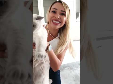 Kedilerimize Kavuştuk ! Yeni Kedi Evi Hazırladık
