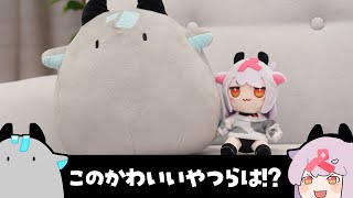 むちむちのかわいいやつらを解説するぜ