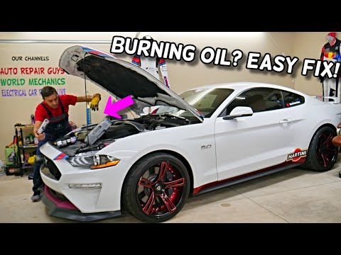 HOW TO FIX FORD MUSTANG THAT BURNS ENGINE OIL 2005-2023