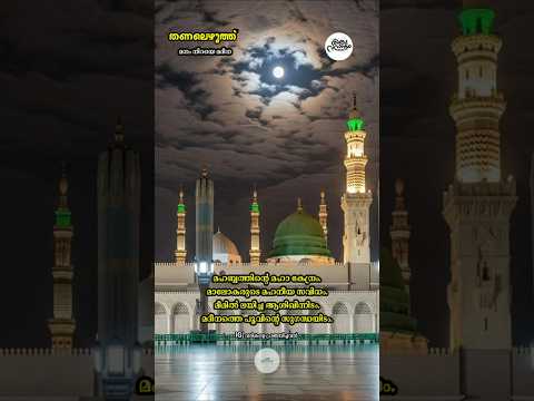 തണലെഴുത്ത് - 237 മനം നിറയെ മദീനാ | #muthnabiﷺ #mrs_rak #madina #foryou #തണലെഴുത്ത് #madhsong