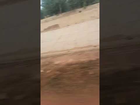 उठा ले जाऊंगा तुझे मैं डोली में