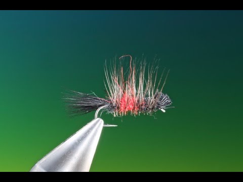 Fly Tying the Bibio Dyret with Barry Ord Clarke