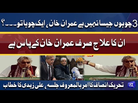 Federal Minister Ali Zaidi Aggressive Speech In PTI Parade Ground Jalsa