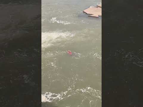 Laash bahata dikhae diya ❤❤ #shorts