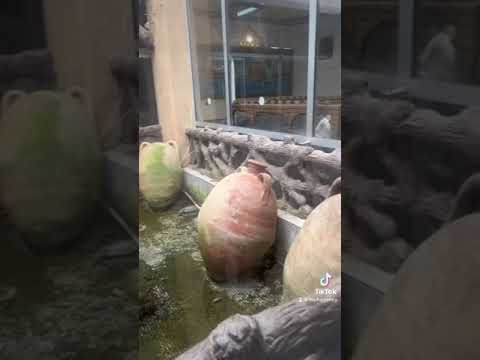 أفضل مكان لقضاء العطلة الصيفية في جيجل