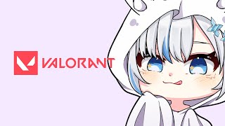 【Valorant】Grinding till I drop【#ShirousaMikumi | VOLs 】