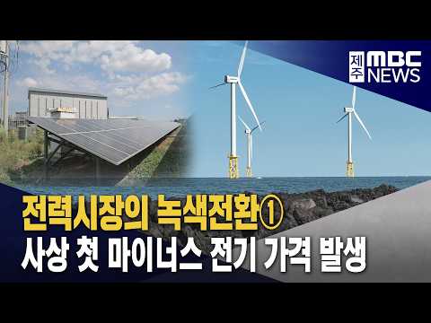[전력시장의 녹색전환]① 사상 첫 마이너스 <strong>전기</strong> 가격 발생