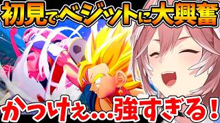 ベジット・元気玉などの激アツ名シーンで興奮あり涙ありのルイ姉反応まとめ【ホロライブ/切り抜き/VTuber/ 鷹嶺ルイ / ドラゴンボールZ